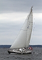 sailboat_5